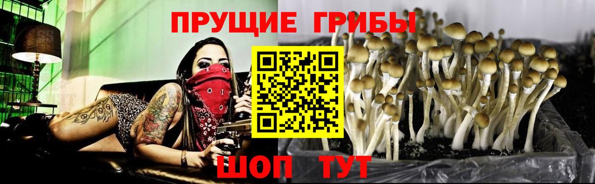 Галлюциногенные грибы Magic Shrooms Сафоново